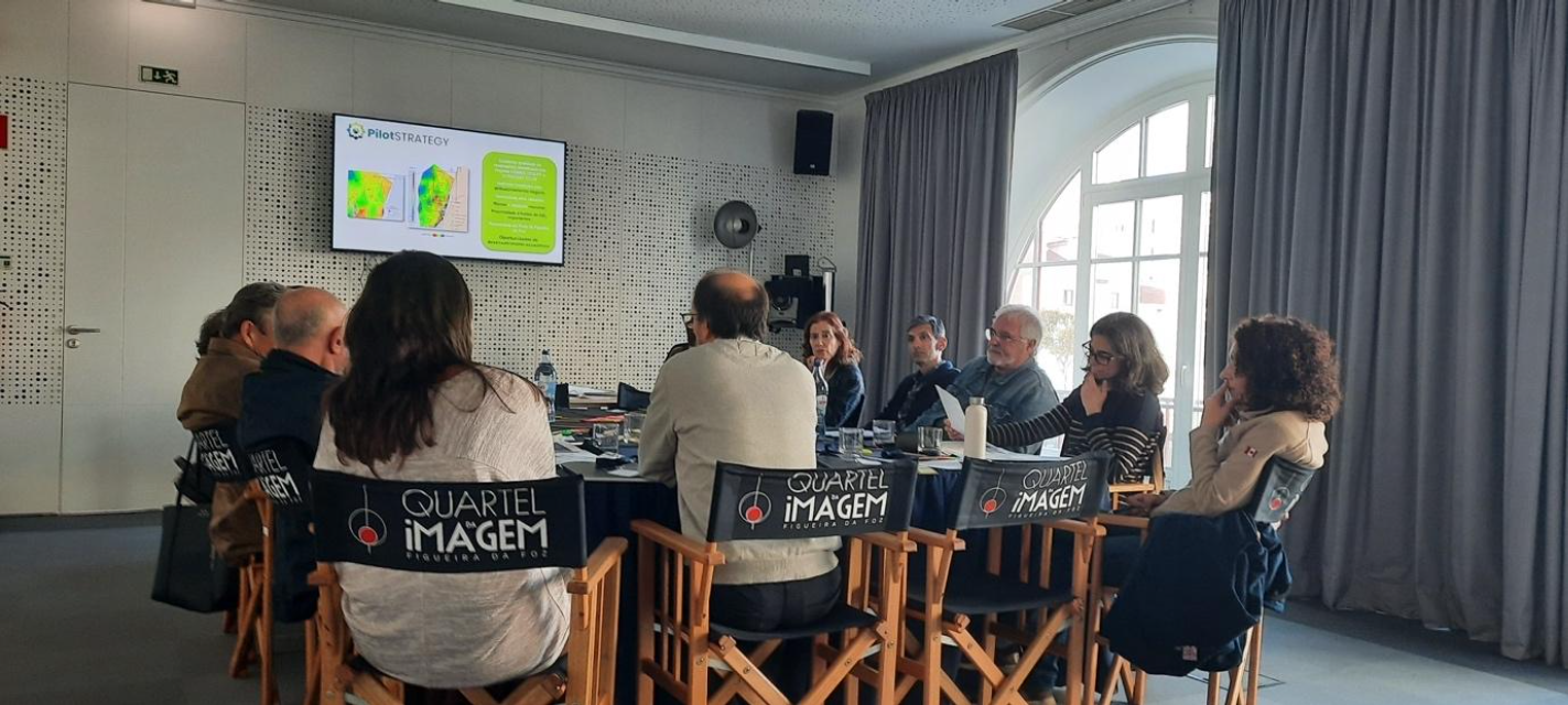 presentation from PilotSTRATEGY project